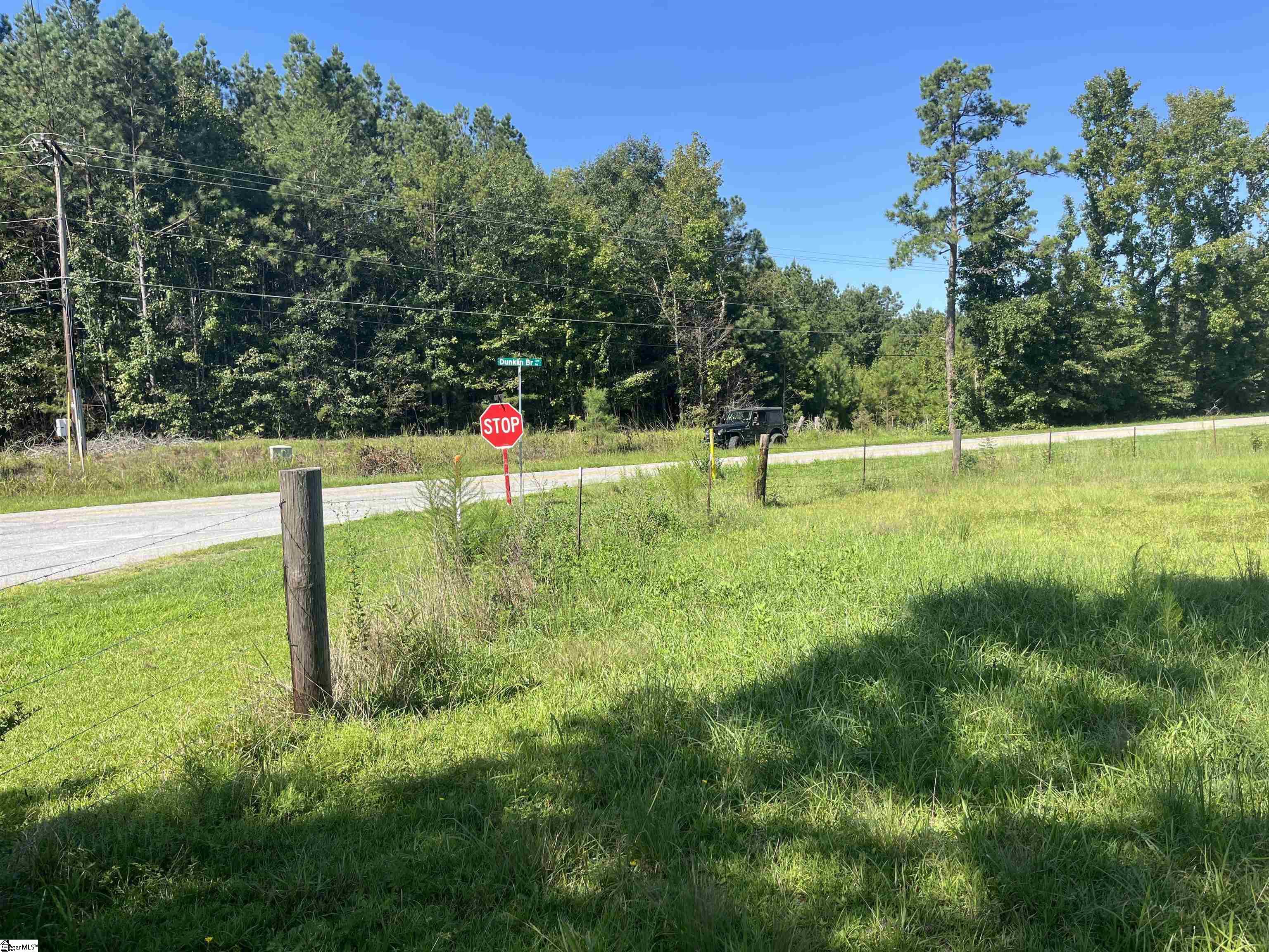0 McKittrick Bridge Road Fountain Inn, SC 29644 - Photo 16 of 24 Gallery Image 16