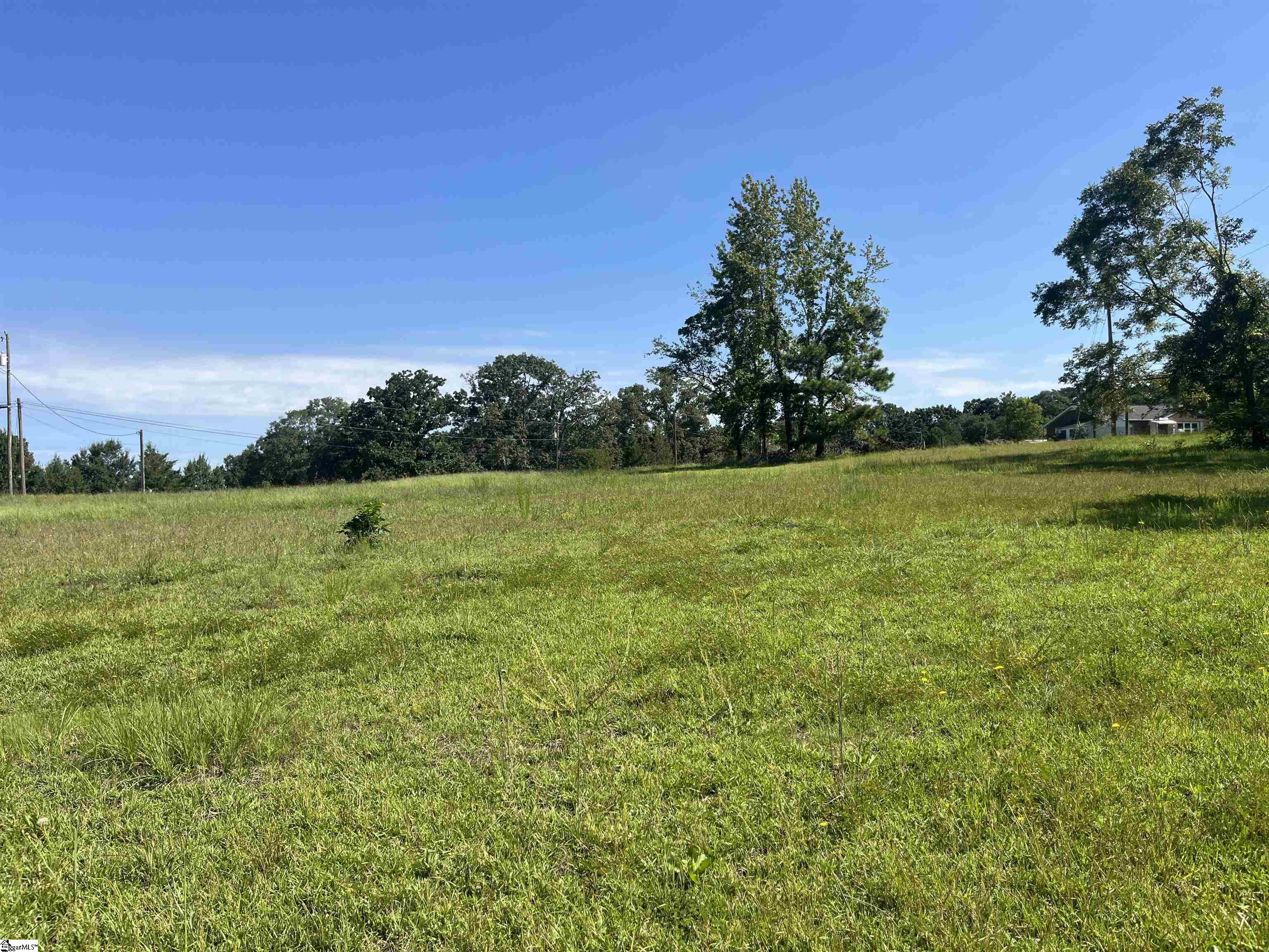 0 McKittrick Bridge Road Fountain Inn, SC 29644 - Photo 18 of 24 Gallery Image 18