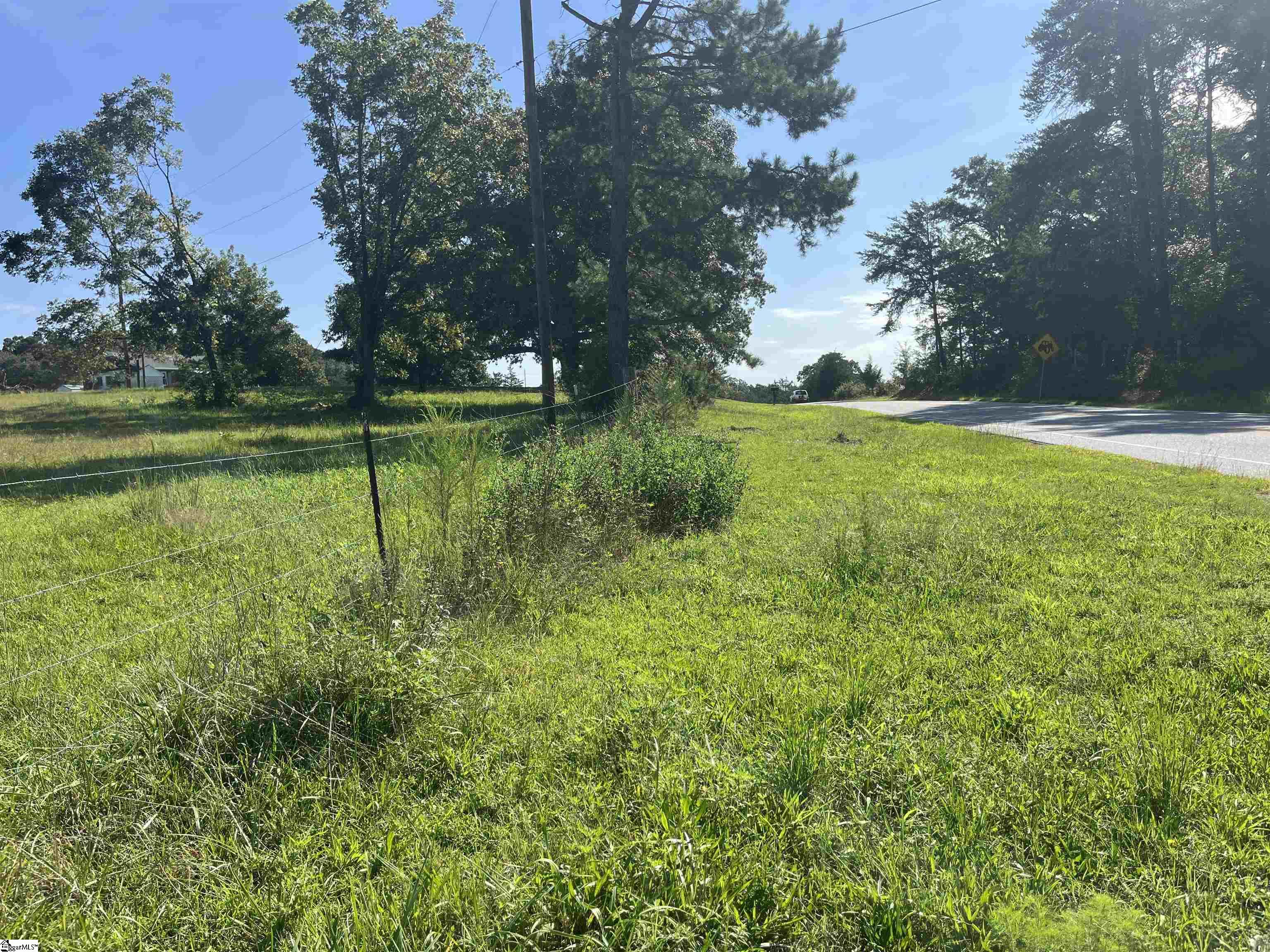 0 McKittrick Bridge Road Fountain Inn, SC 29644 - Photo 19 of 24 Gallery Image 19