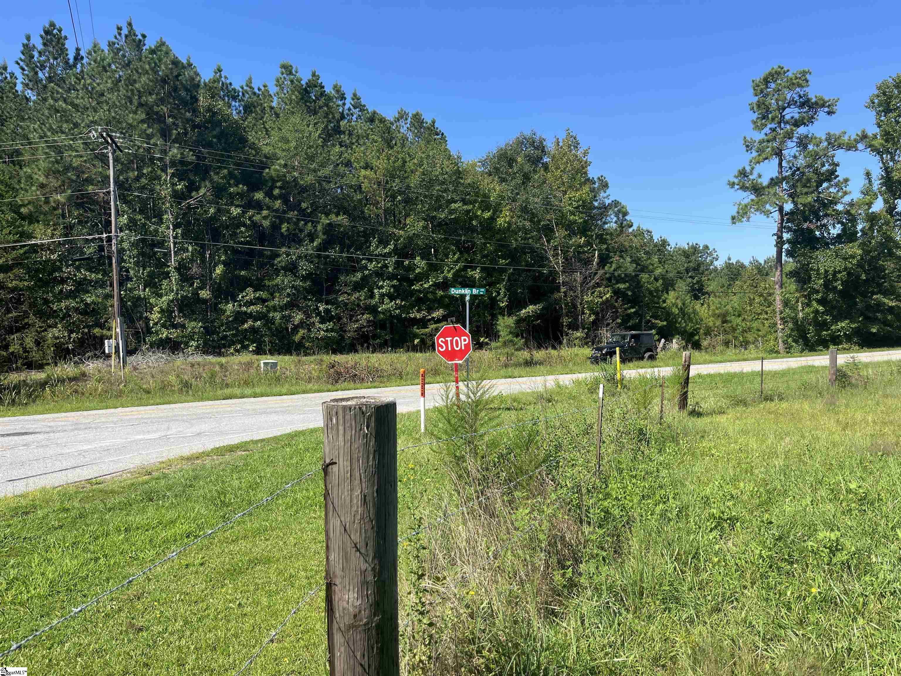 0 McKittrick Bridge Road Fountain Inn, SC 29644 - Photo 21 of 24 Gallery Image 21