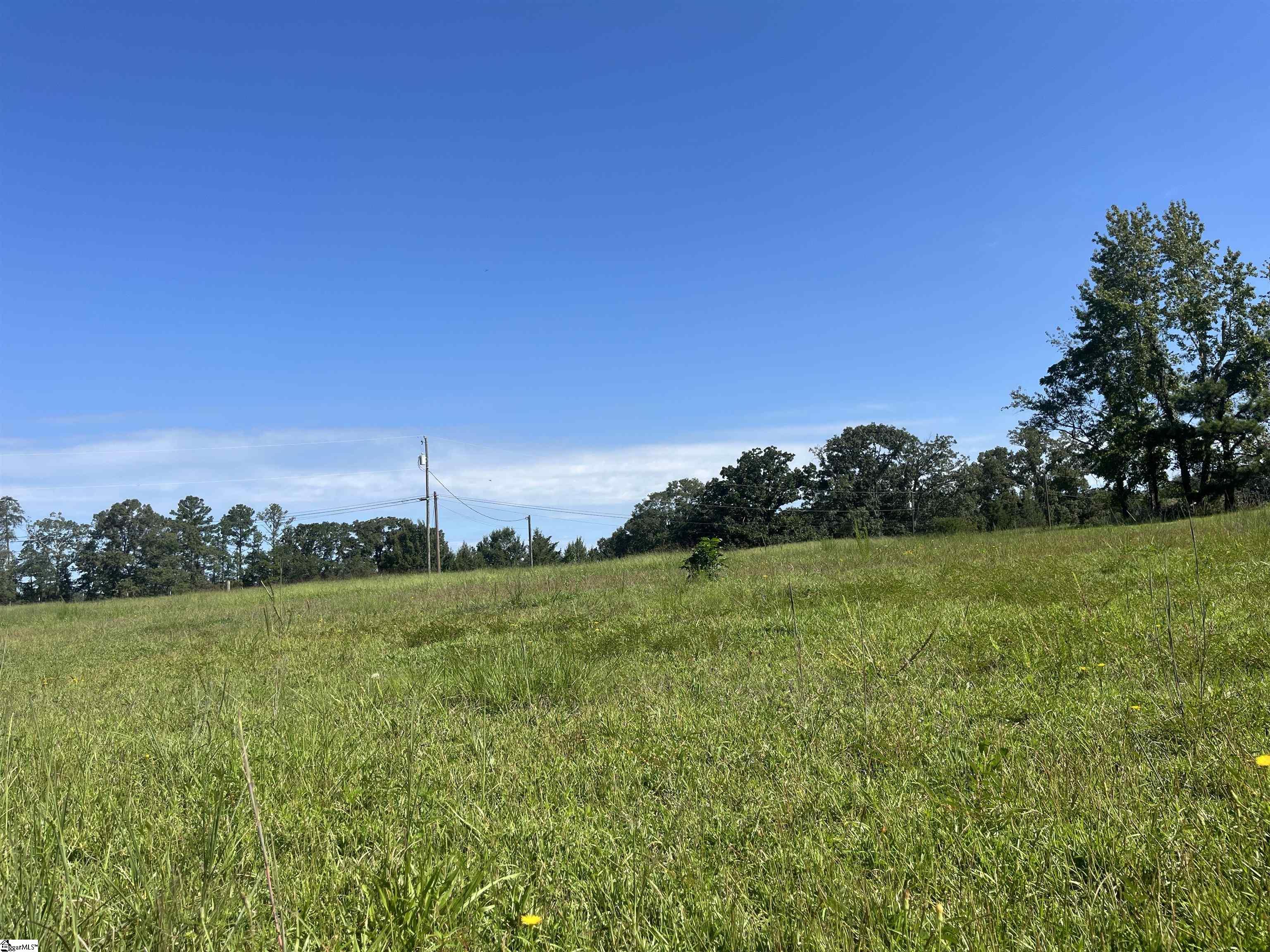 0 McKittrick Bridge Road Fountain Inn, SC 29644 - Photo 23 of 24 Gallery Image 23
