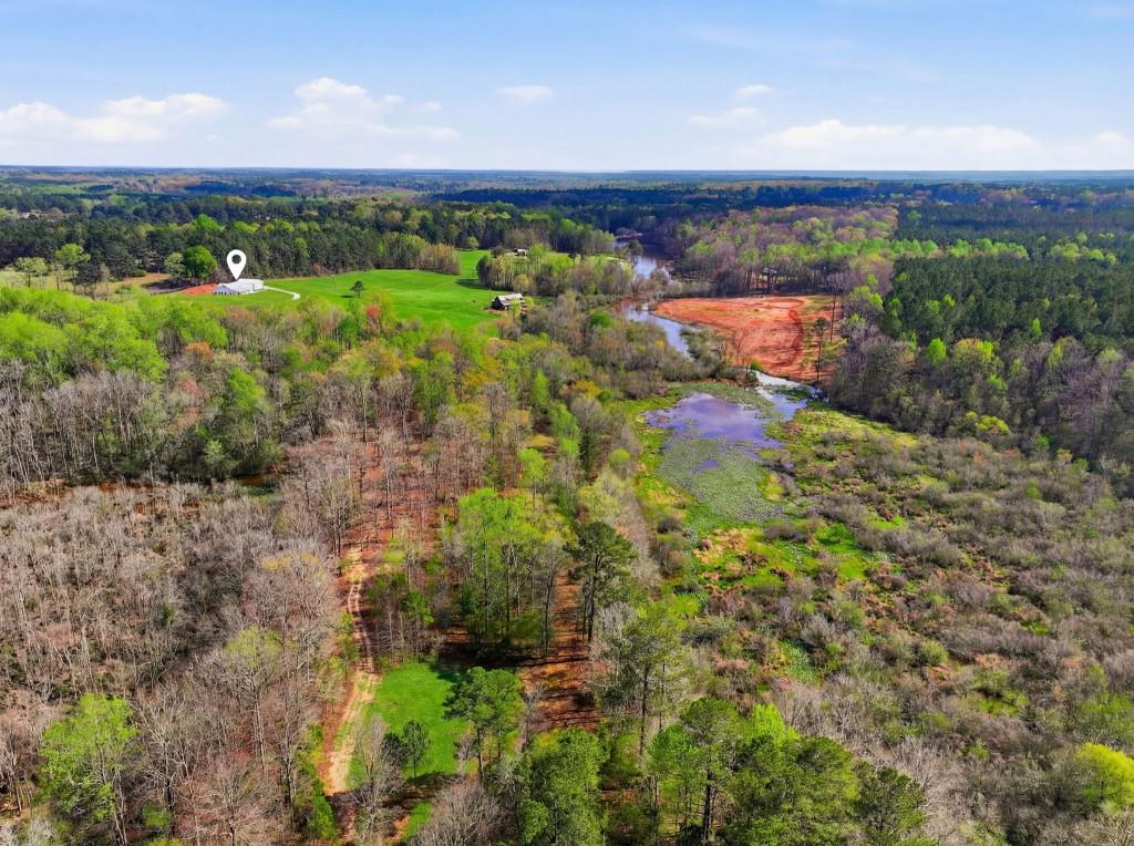 1505 Elders Mill Road Senoia, GA 30276 - Photo 127 of 146