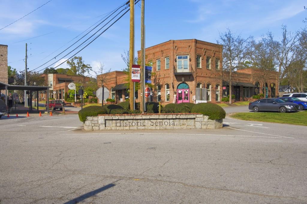 1505 Elders Mill Road Senoia, GA 30276 - Photo 134 of 146