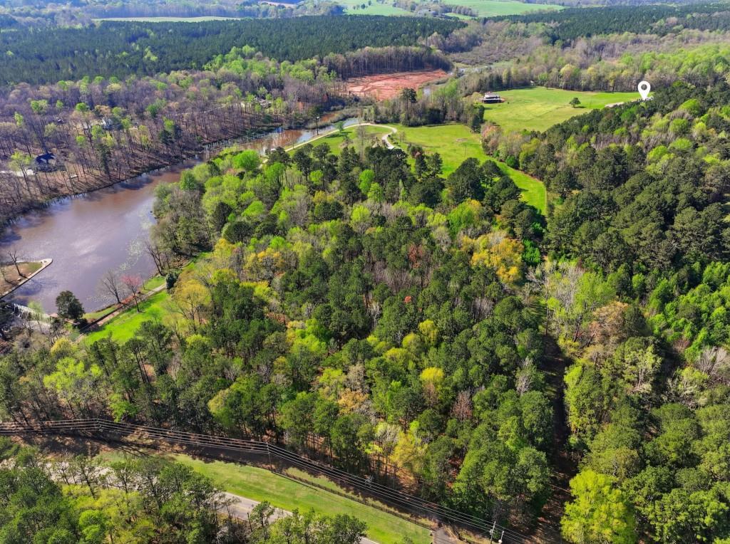 1505 Elders Mill Road Senoia, GA 30276 - Photo 14 of 146