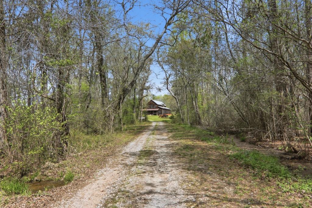 1505 Elders Mill Road Senoia, GA 30276 - Photo 88 of 146