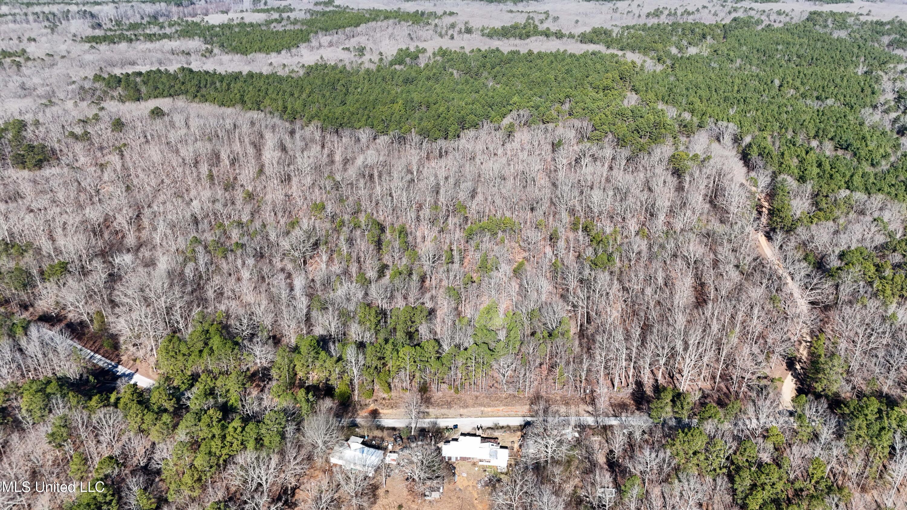 0 Tall Pines Road Ashland, MS 38603 - Photo 2 of 14 Ashland_-19