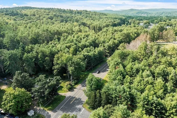 a view of a forest with a street