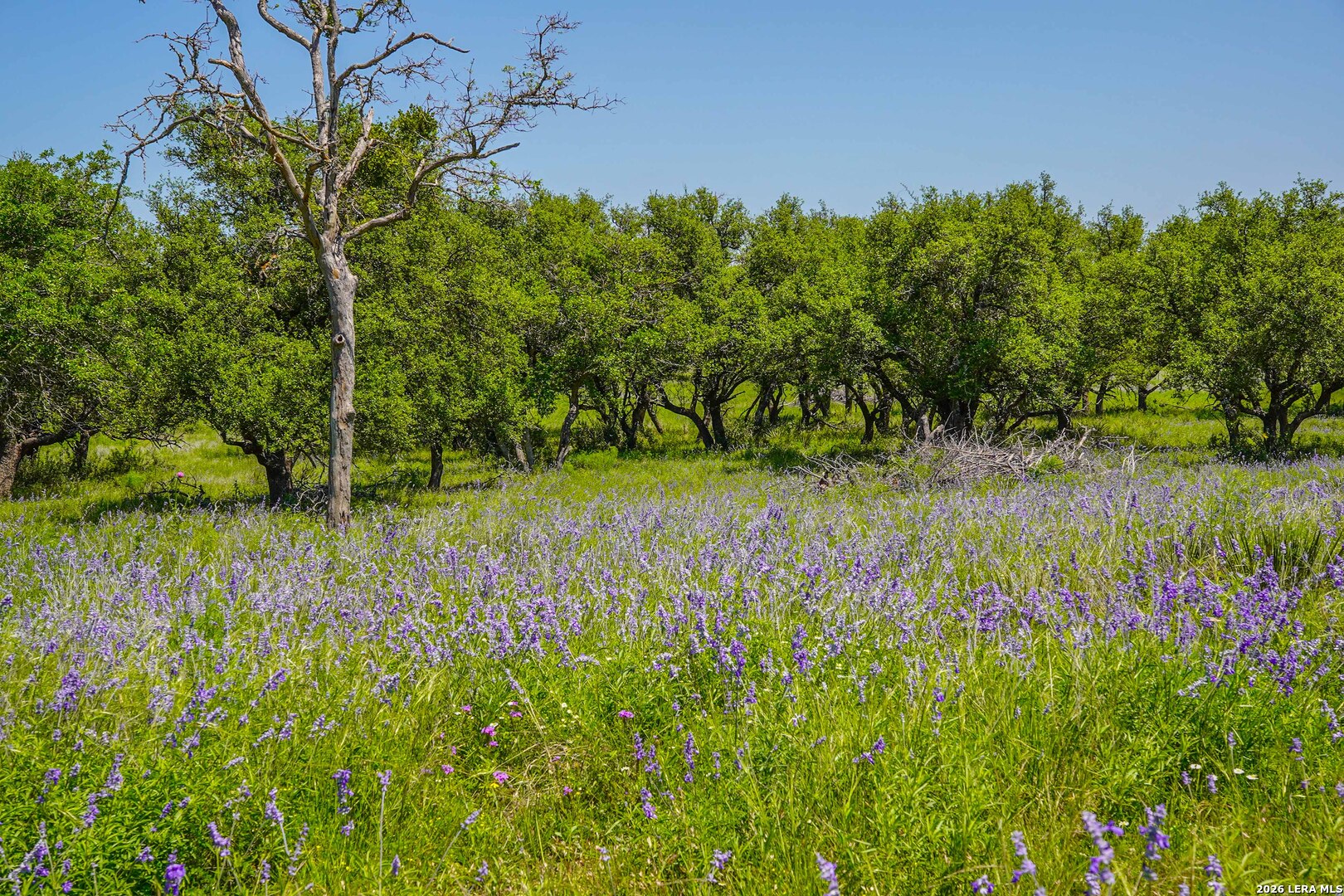 13217 Turner Road Menard, TX 76859 - Photo 81 of 107 Gallery Image 81