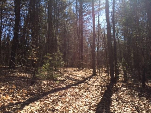 0 Mill Pond Road Durham, ME 04222 - Photo 1 of 10 Photo