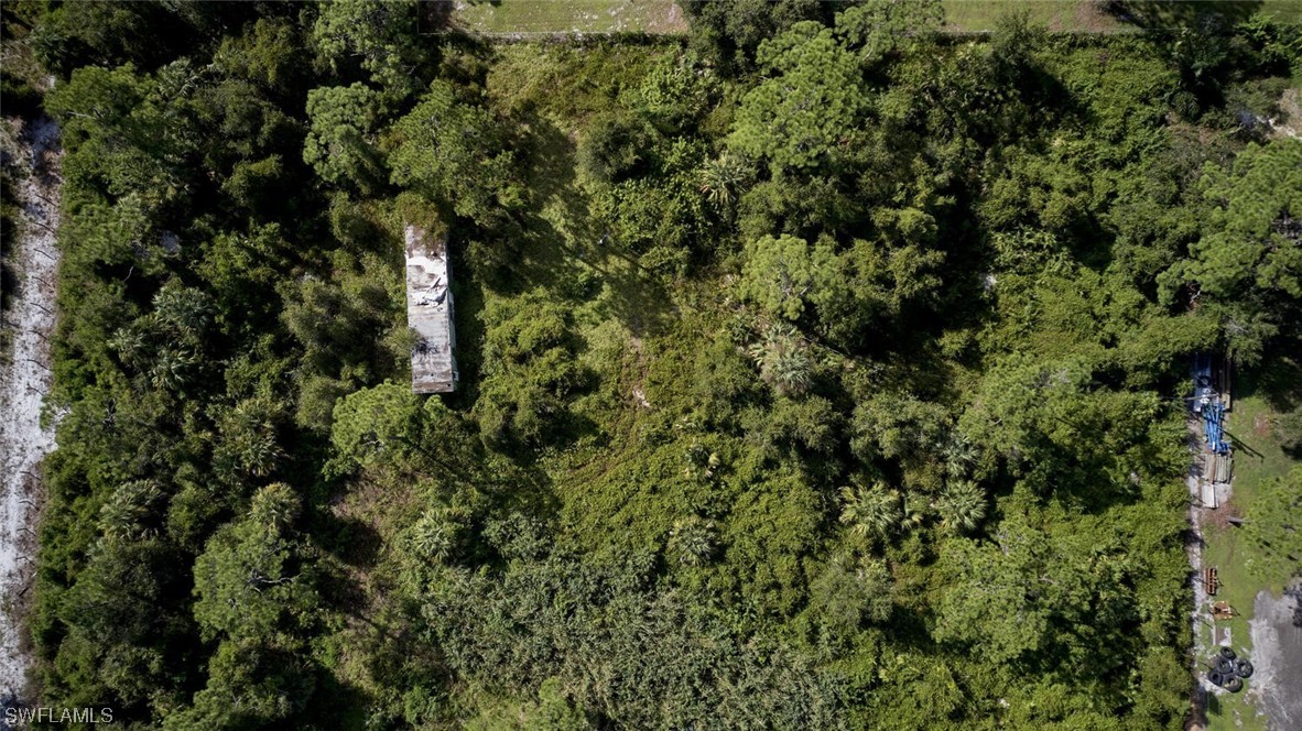 21740 Claytor Road Alva, FL 33920 - Photo 13 of 14 view of a tree