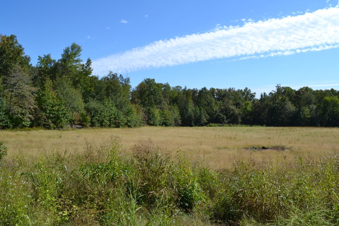 1 Hayes Ridge Road Indian Mound, TN 37079 - Photo 1 of 17 Gallery Image 1