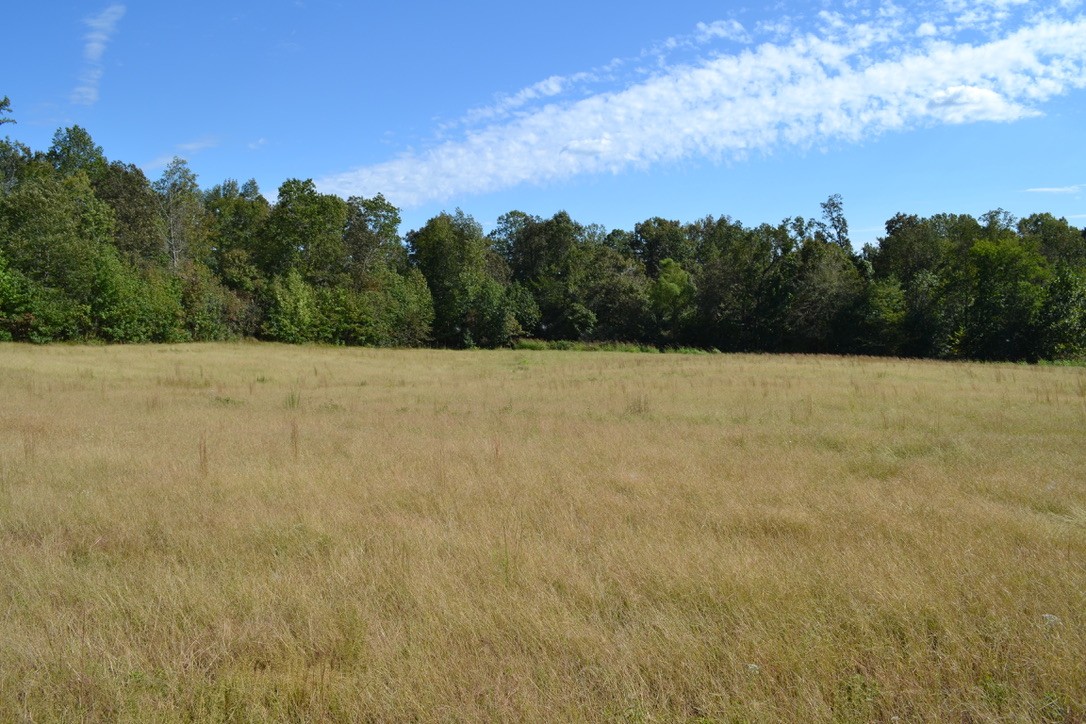 1 Hayes Ridge Road Indian Mound, TN 37079 - Photo 12 of 17 Gallery Image 12