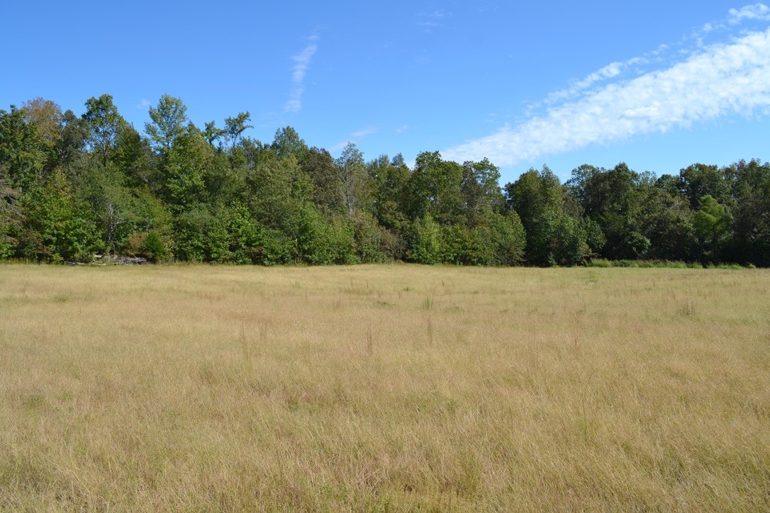 1 Hayes Ridge Road Indian Mound, TN 37079 - Photo 13 of 17 Gallery Image 13