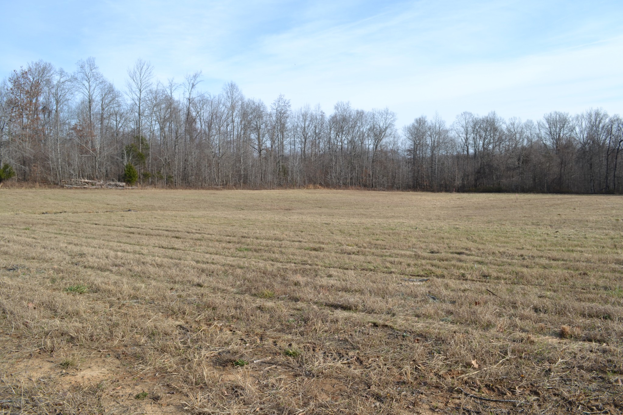 1 Hayes Ridge Road Indian Mound, TN 37079 - Photo 15 of 17 Gallery Image 15
