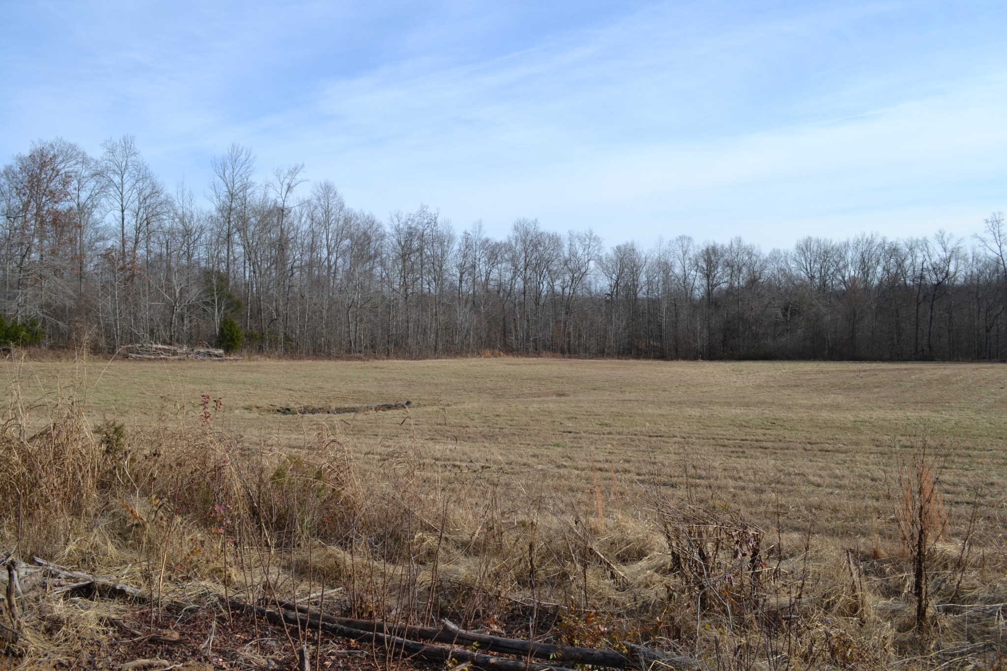 1 Hayes Ridge Road Indian Mound, TN 37079 - Photo 16 of 17 Gallery Image 16