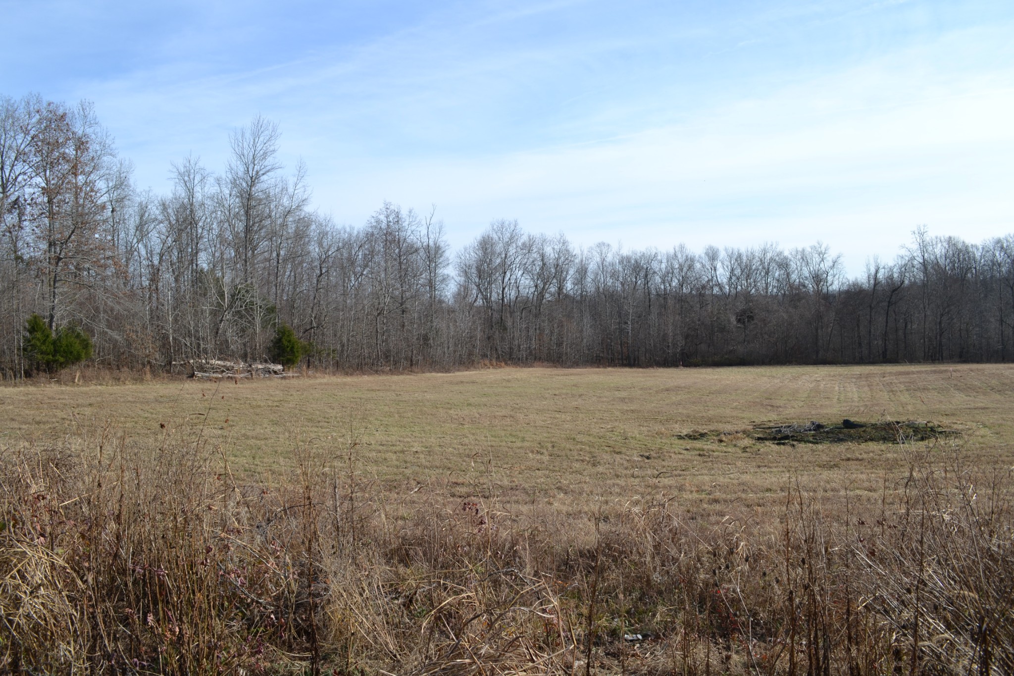 1 Hayes Ridge Road Indian Mound, TN 37079 - Photo 17 of 17 Gallery Image 17