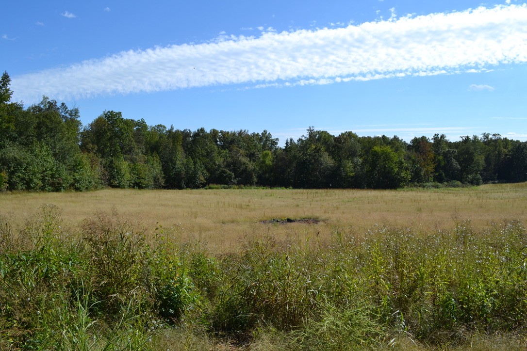 1 Hayes Ridge Road Indian Mound, TN 37079 - Photo 2 of 17 Gallery Image 2