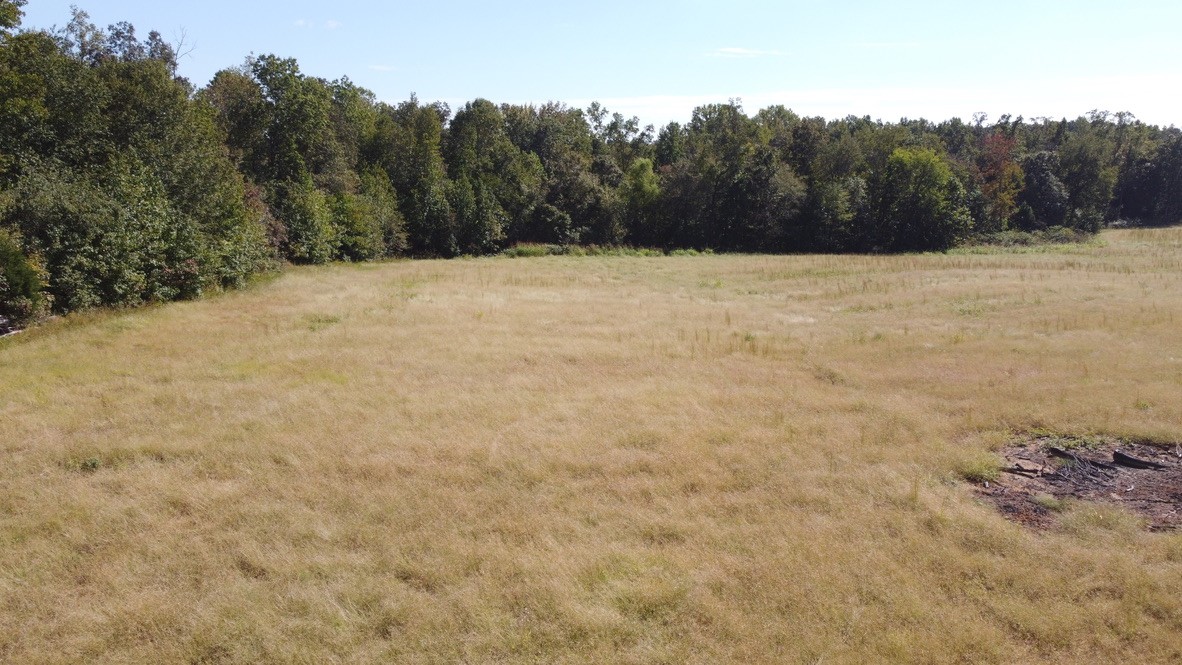 1 Hayes Ridge Road Indian Mound, TN 37079 - Photo 3 of 17 Gallery Image 3