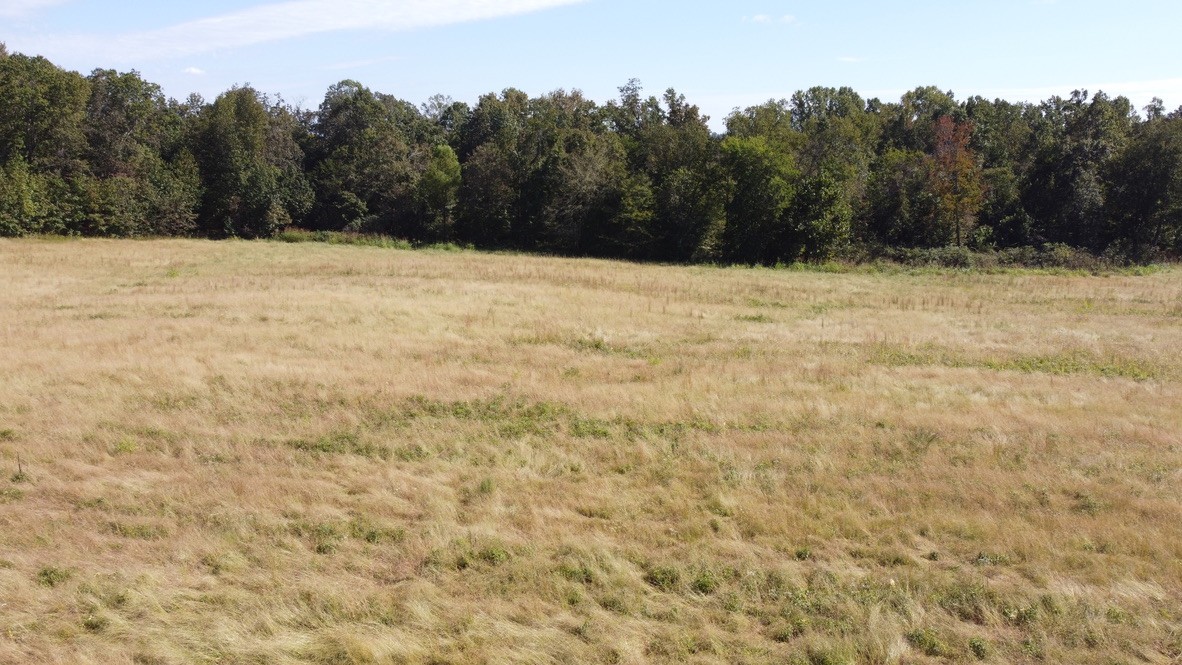 1 Hayes Ridge Road Indian Mound, TN 37079 - Photo 9 of 17 Gallery Image 9