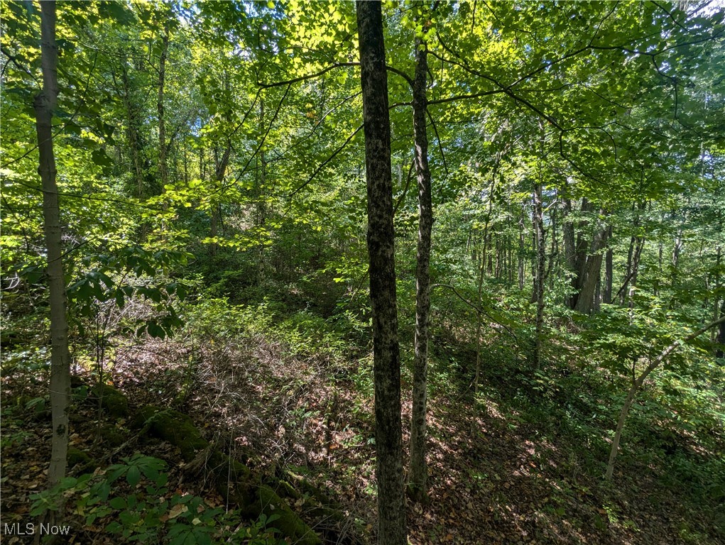 1 County Road Rayland, OH 43943 - Photo 13 of 32 Gallery Image 13