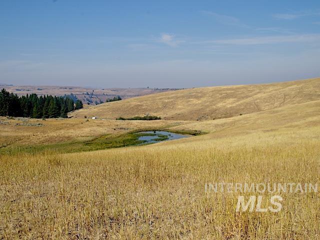 Tbd Tbd Ditch Creek Road Council, ID 83612 - Photo 2 of 11