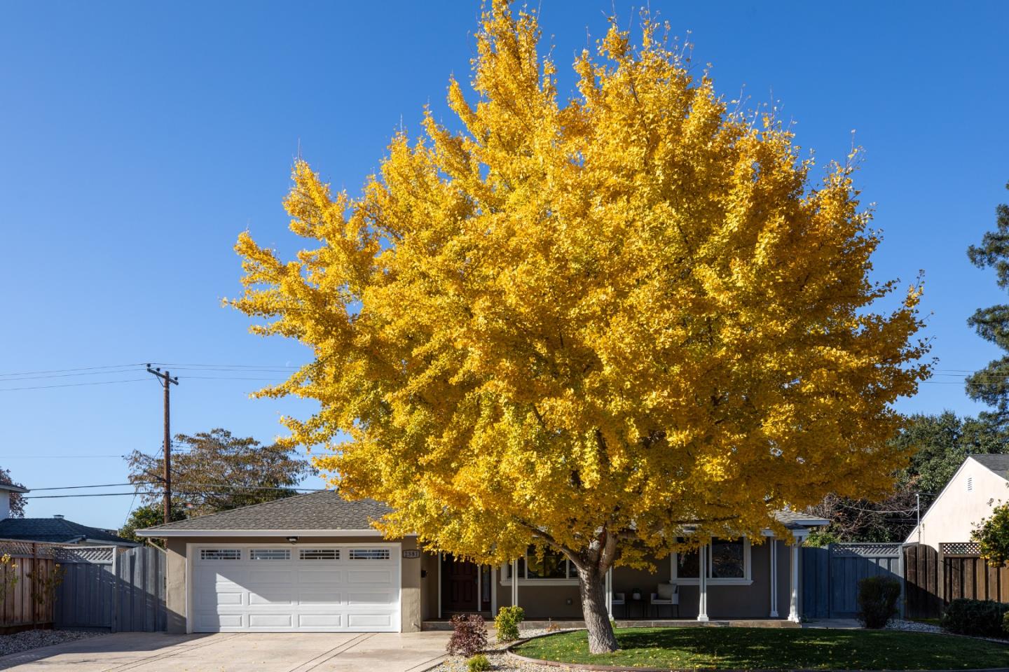 2381 Rosita Avenue Santa Clara, CA 95050 - Photo 2 of 24