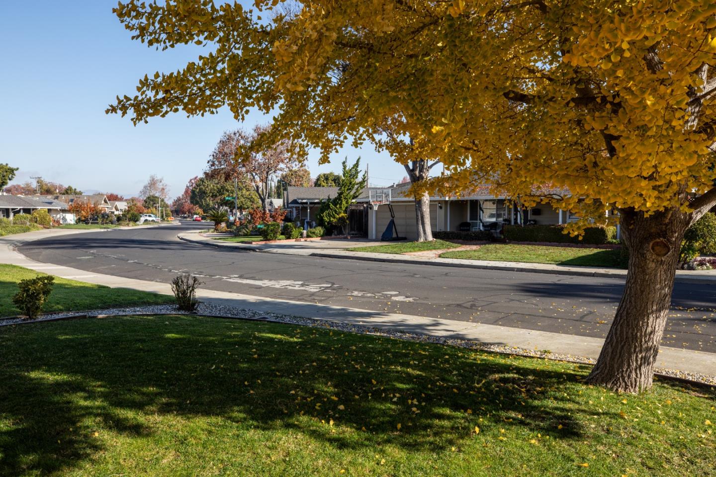 2381 Rosita Avenue Santa Clara, CA 95050 - Photo 3 of 24