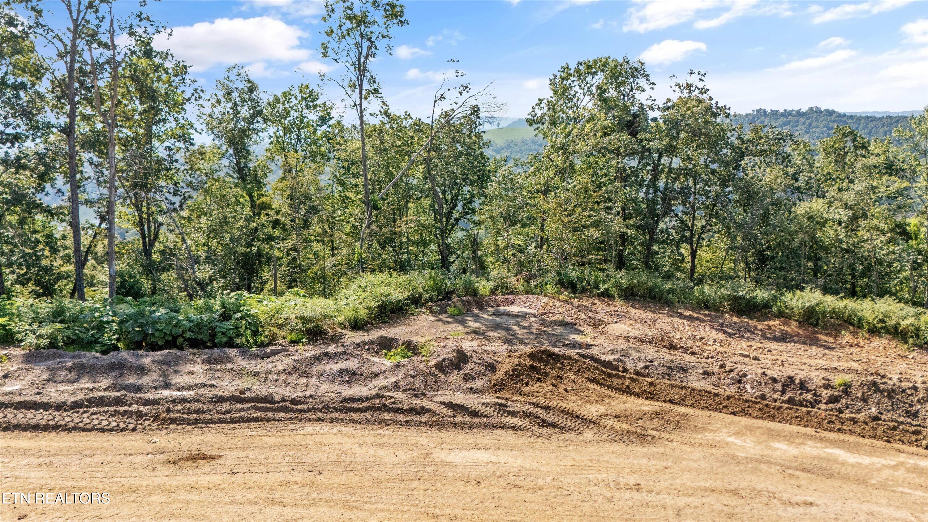 Lot 107 Sommet Ridge Tazewell, TN 37879 - Photo 1 of 18 Aerial