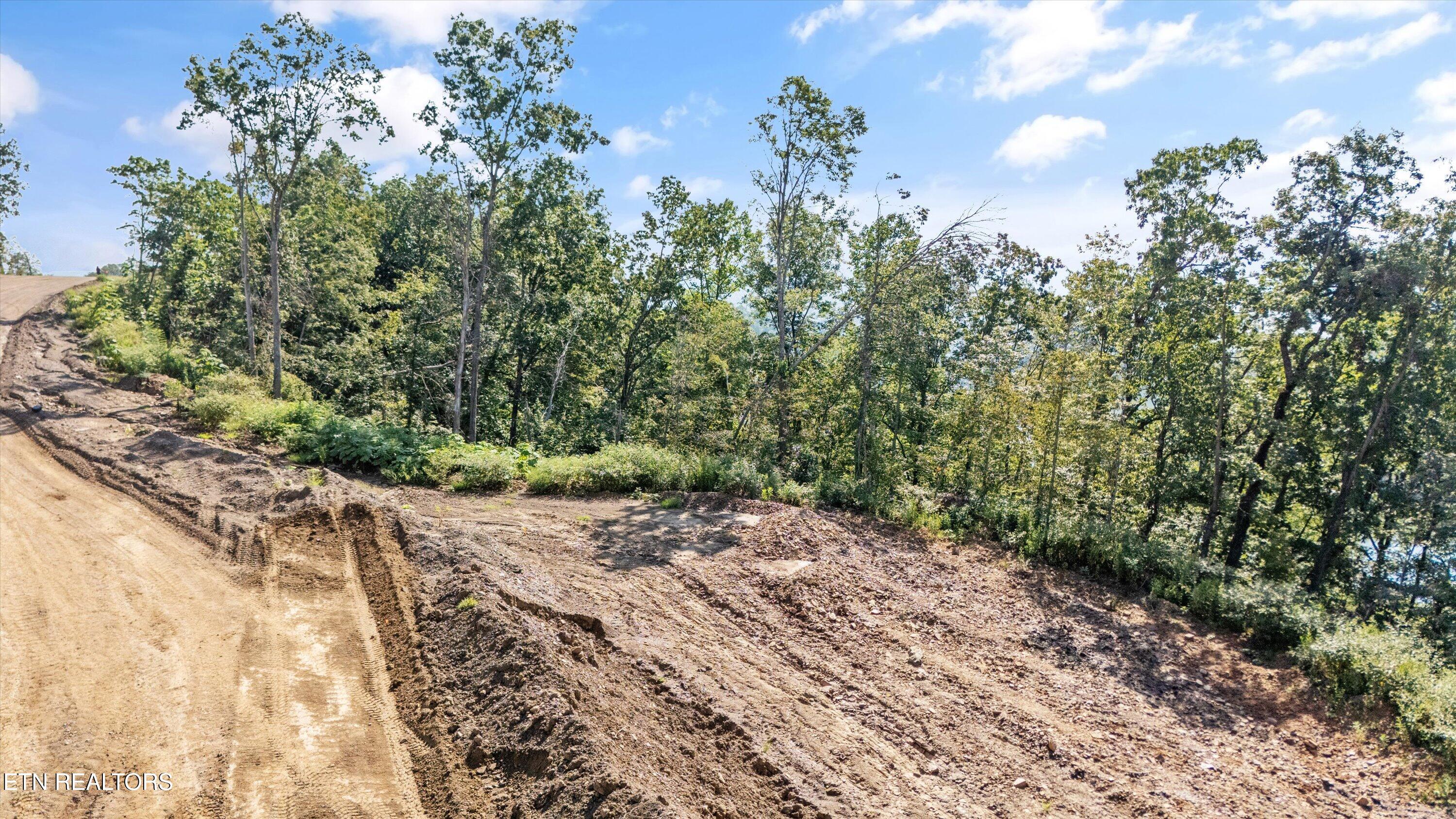 Lot 107 Sommet Ridge Tazewell, TN 37879 - Photo 11 of 18 Aerial