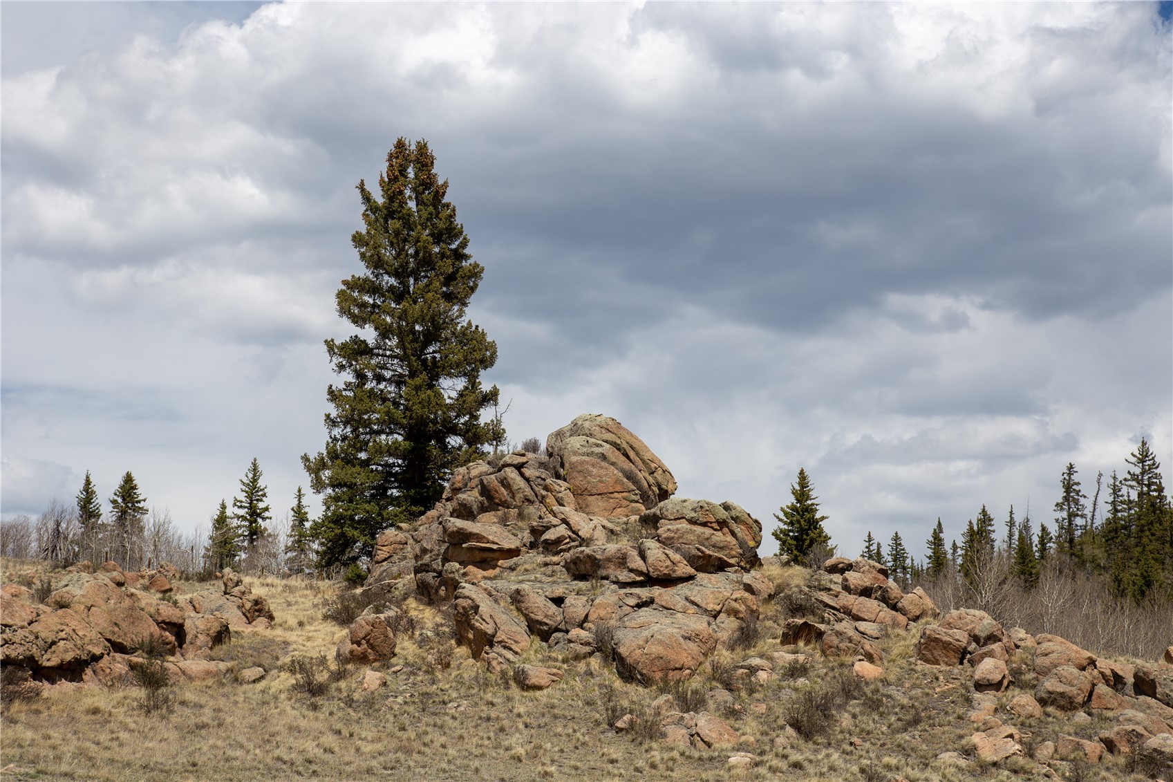 525 Swiggler Road Jefferson, CO 80456 - Photo 13 of 23 Gallery Image 13