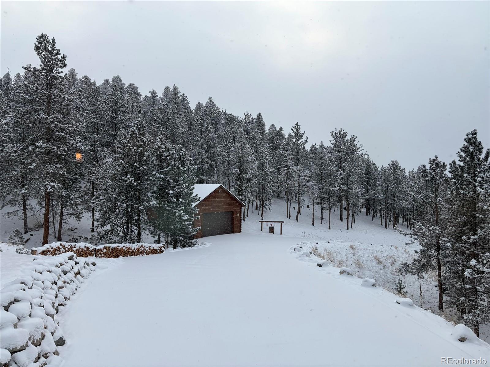 2894 County Road 43 Bailey, CO 80421 - Photo 36 of 40 a view of roof and trees