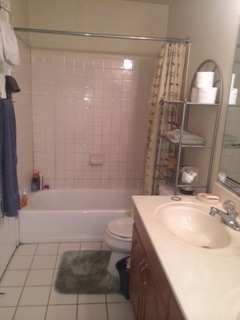 644 Rockhurst Road Bolingbrook, IL 60440 - Photo 7 of 11 a bathroom with a sink a toilet and shower