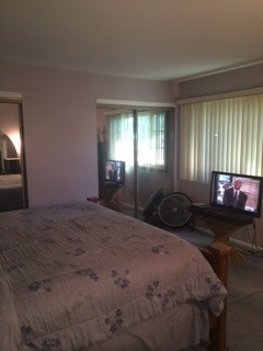 644 Rockhurst Road Bolingbrook, IL 60440 - Photo 8 of 11 a bed sitting in a spacious bedroom next to a window