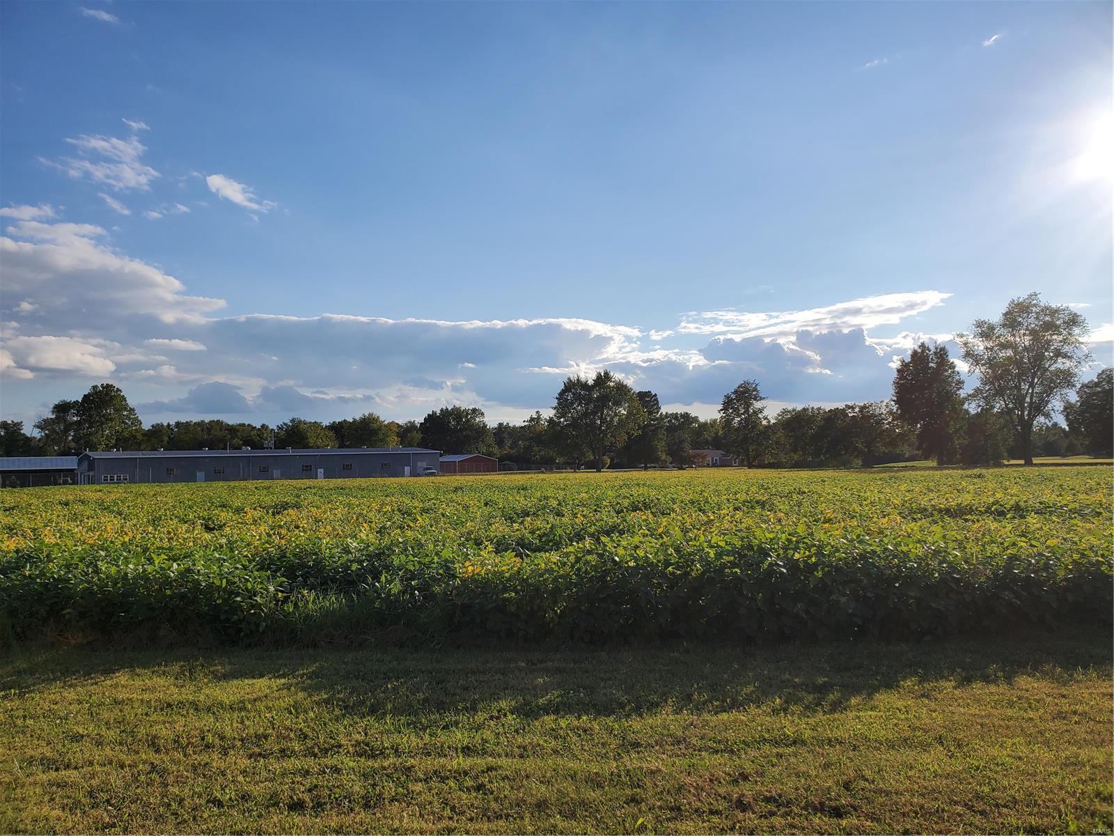 0 Country Club Road Sparta, IL 62286 - Photo 2 of 4