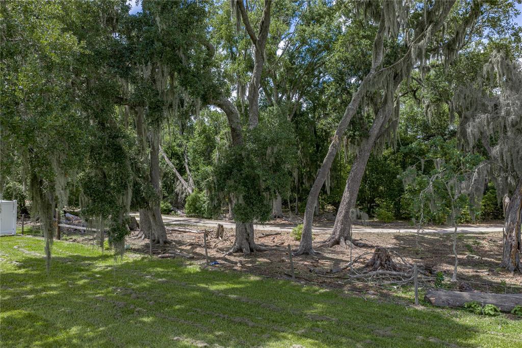 14080 Sydney Road Dover, FL 33527 - Photo 23 of 100