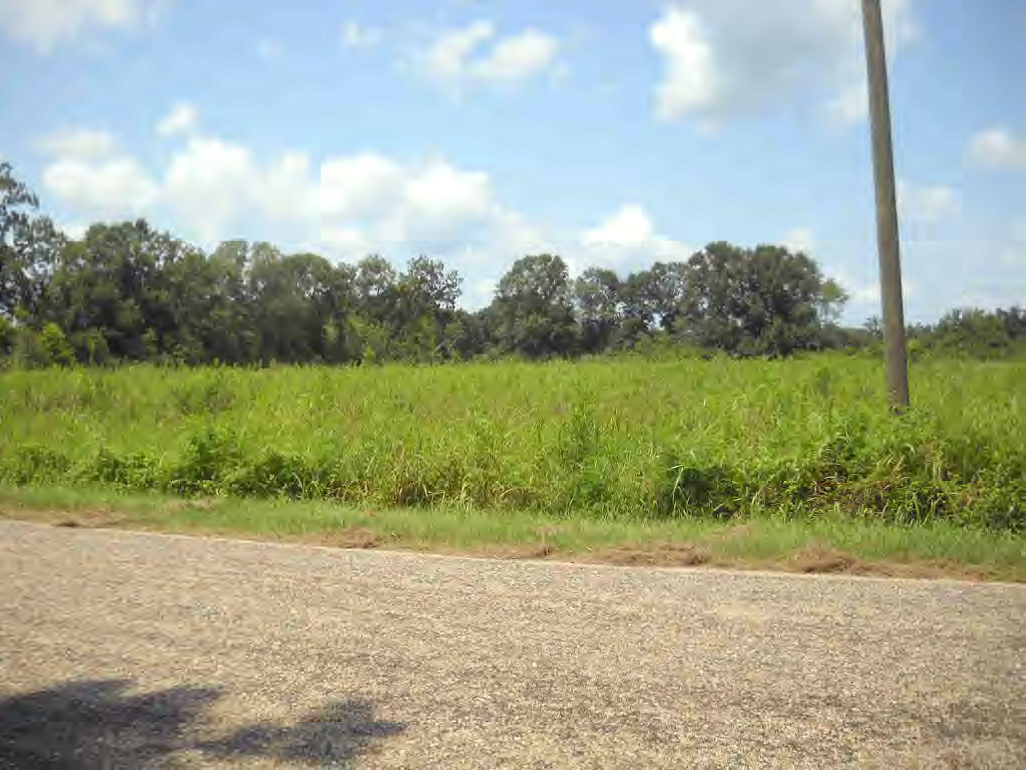 Carto Road Tylertown, MS 39667 - Photo 1 of 1 Main View