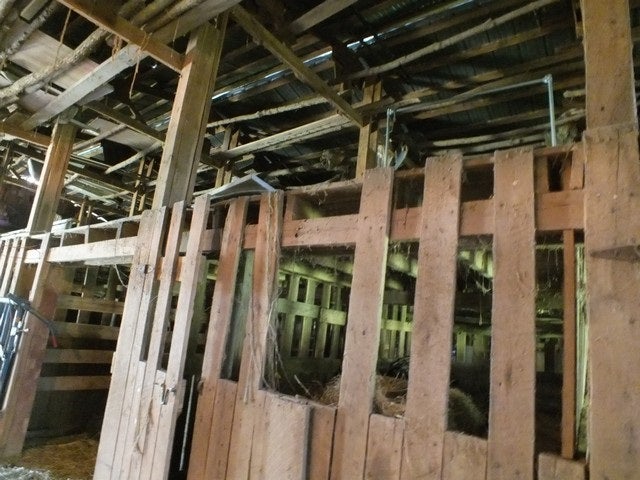 266 King Road Leitchfield, KY 42754 - Photo 14 of 15 Gallery Image 14