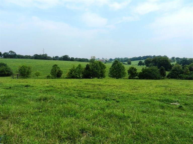 2404 Jackstown Road Carlisle, KY 40311 - Photo 23 of 36 Photo 23