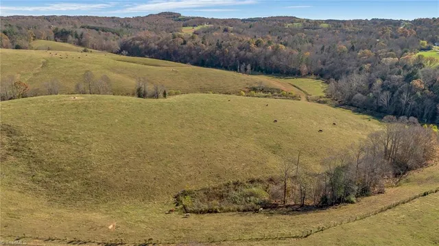 $1,250,000 | 0 Austin Traphill Road, Traphill, NC 28685