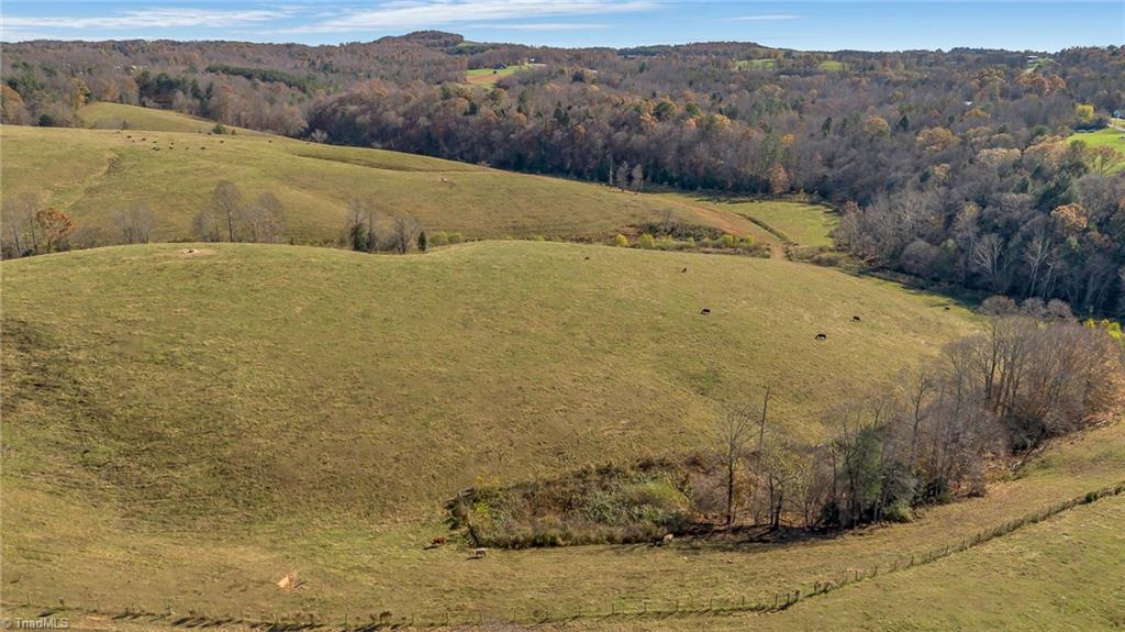 0 Austin Traphill Road Traphill, NC 28685 - Photo 11 of 30