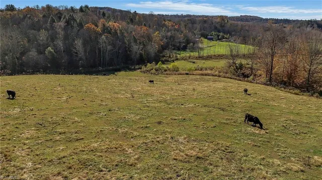 $1,250,000 | 0 Austin Traphill Road, Traphill, NC 28685