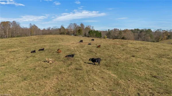 $1,250,000 | 0 Austin Traphill Road, Traphill, NC 28685