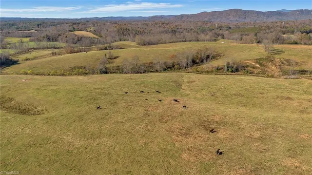 $1,250,000 | 0 Austin Traphill Road, Traphill, NC 28685