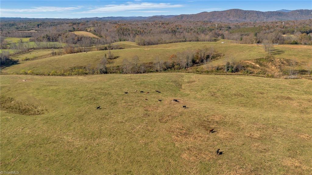 0 Austin Traphill Road Traphill, NC 28685 - Photo 17 of 30