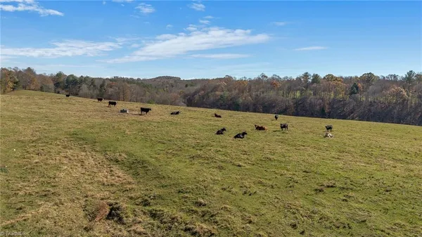 $1,250,000 | 0 Austin Traphill Road, Traphill, NC 28685