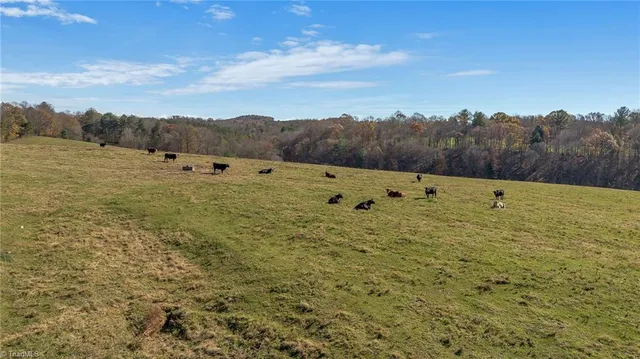 $1,250,000 | 0 Austin Traphill Road, Traphill, NC 28685