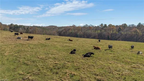 $1,250,000 | 0 Austin Traphill Road, Traphill, NC 28685