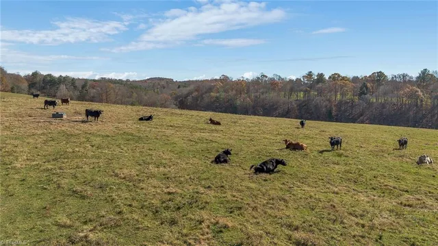 $1,250,000 | 0 Austin Traphill Road, Traphill, NC 28685