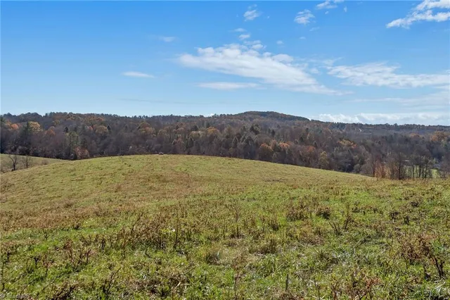 $1,250,000 | 0 Austin Traphill Road, Traphill, NC 28685