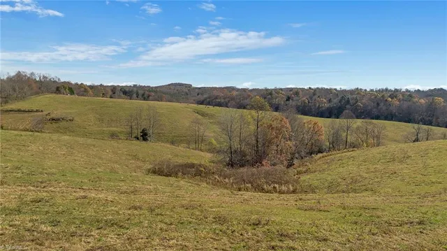 $1,250,000 | 0 Austin Traphill Road, Traphill, NC 28685